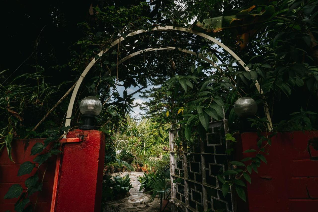 Rock Cliff Home Stay Шиллонг Екстер'єр фото