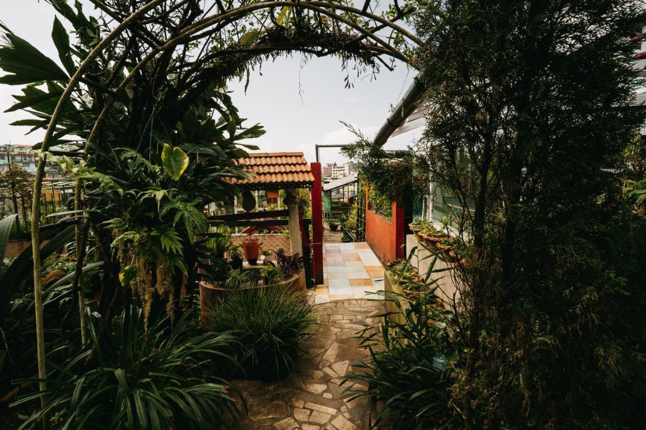 Rock Cliff Home Stay Шиллонг Екстер'єр фото